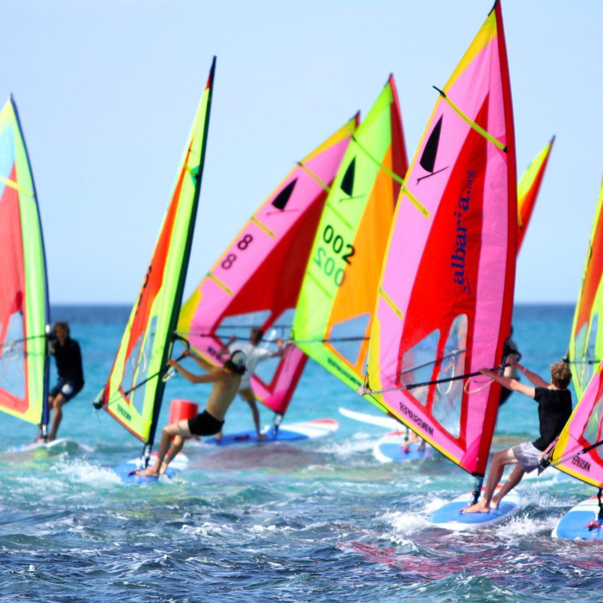 NNK Windsurfer