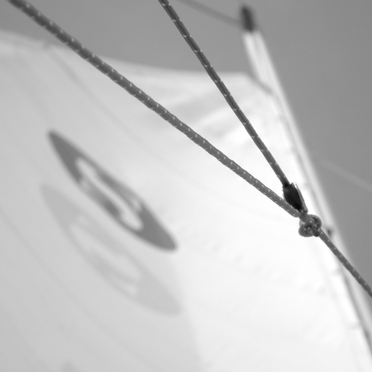 Szélrózsa Regatta 2019