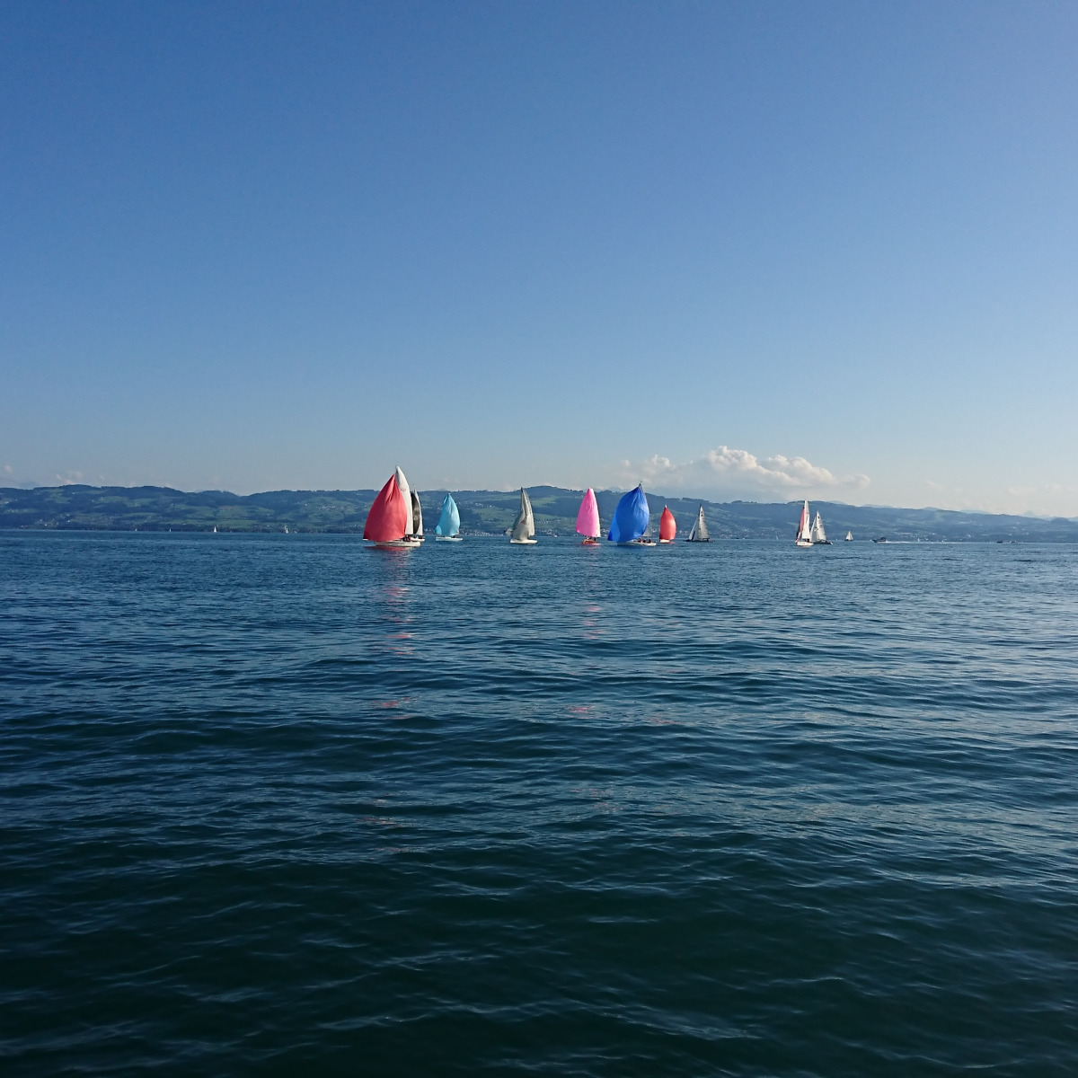 Kressbronner Segler - Oberseepokal 2019