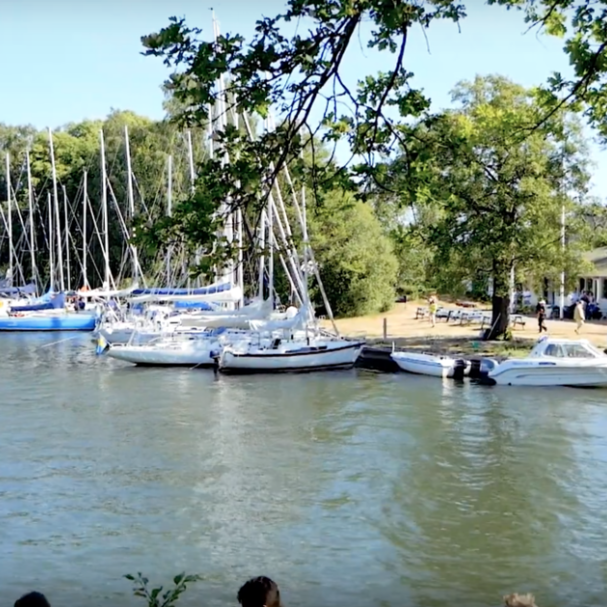 Jungfrusundsregattan