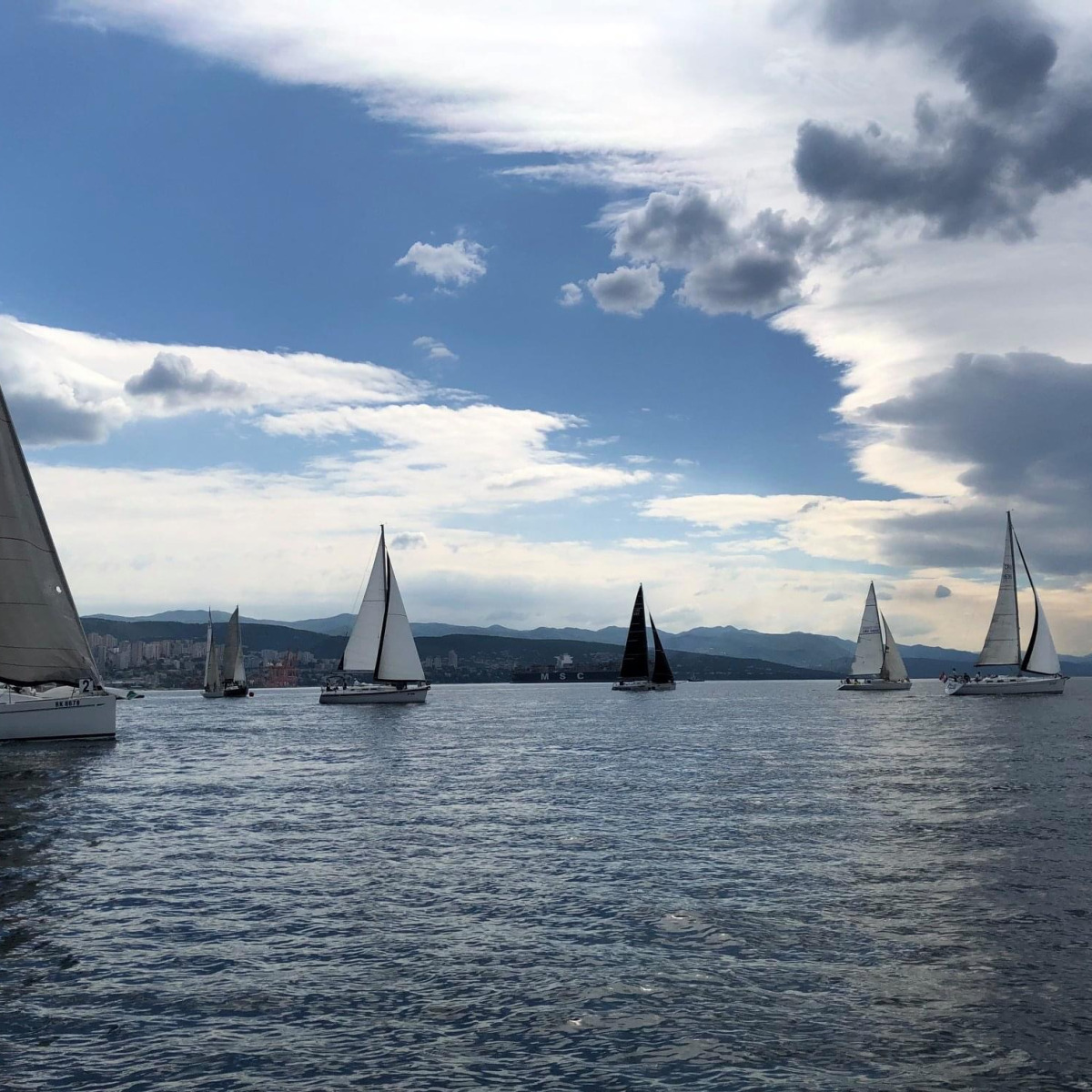 Primorska regata
