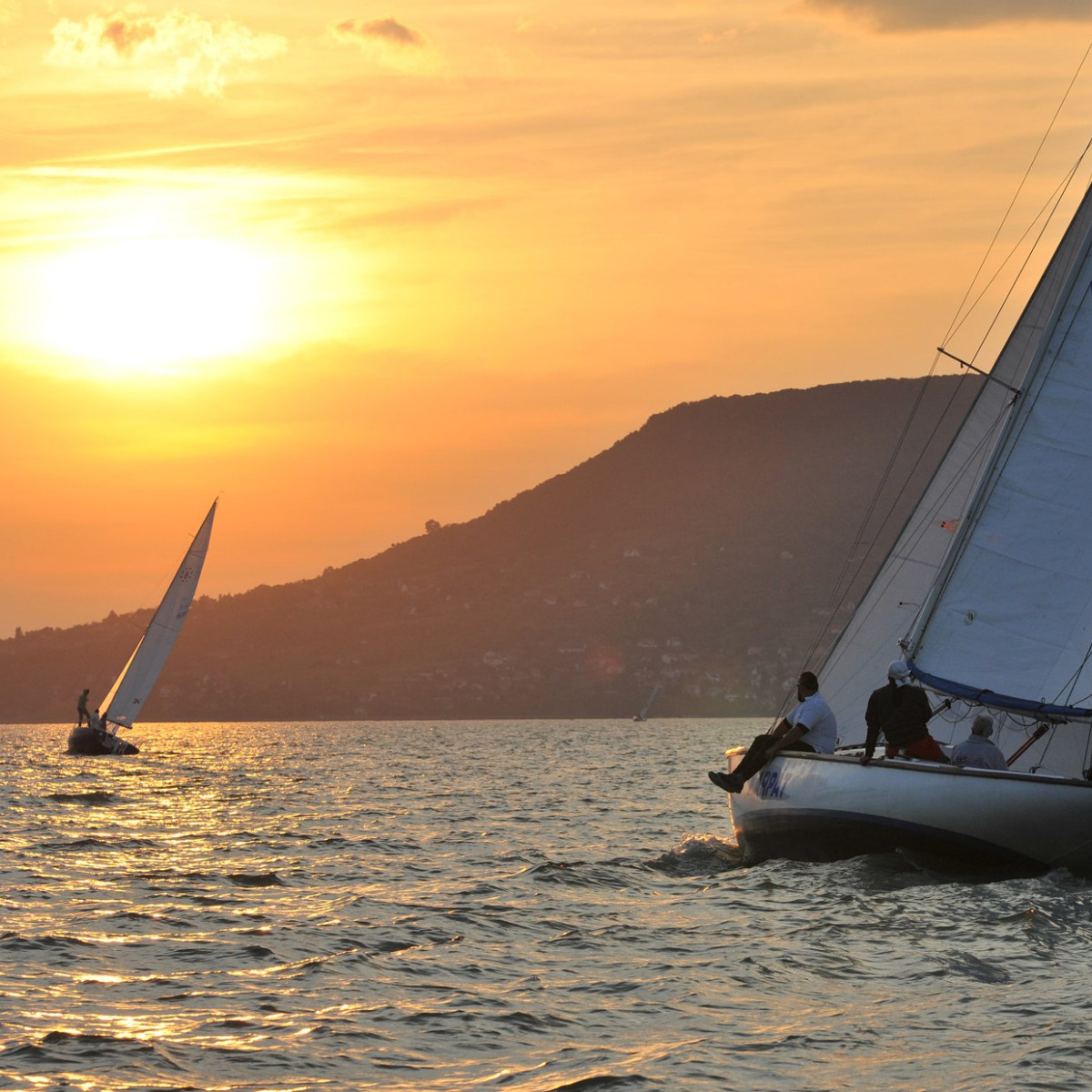 Szüreti Regatta