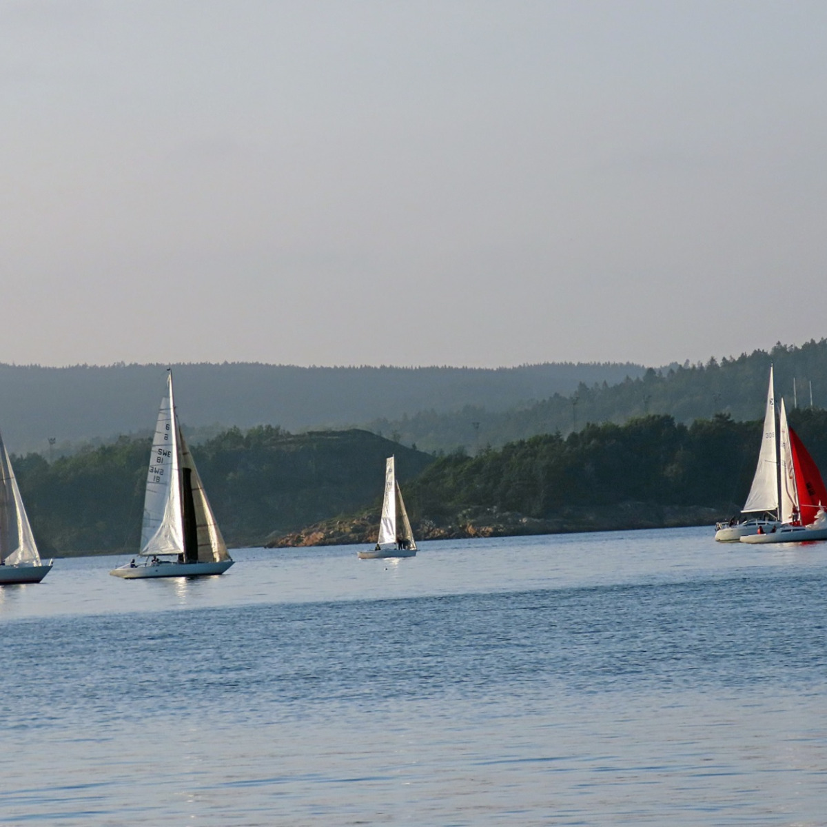Viken-Ägir Club Races