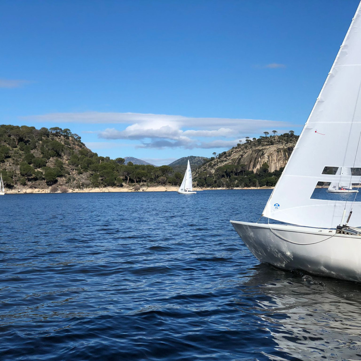 Soling Copa Oro