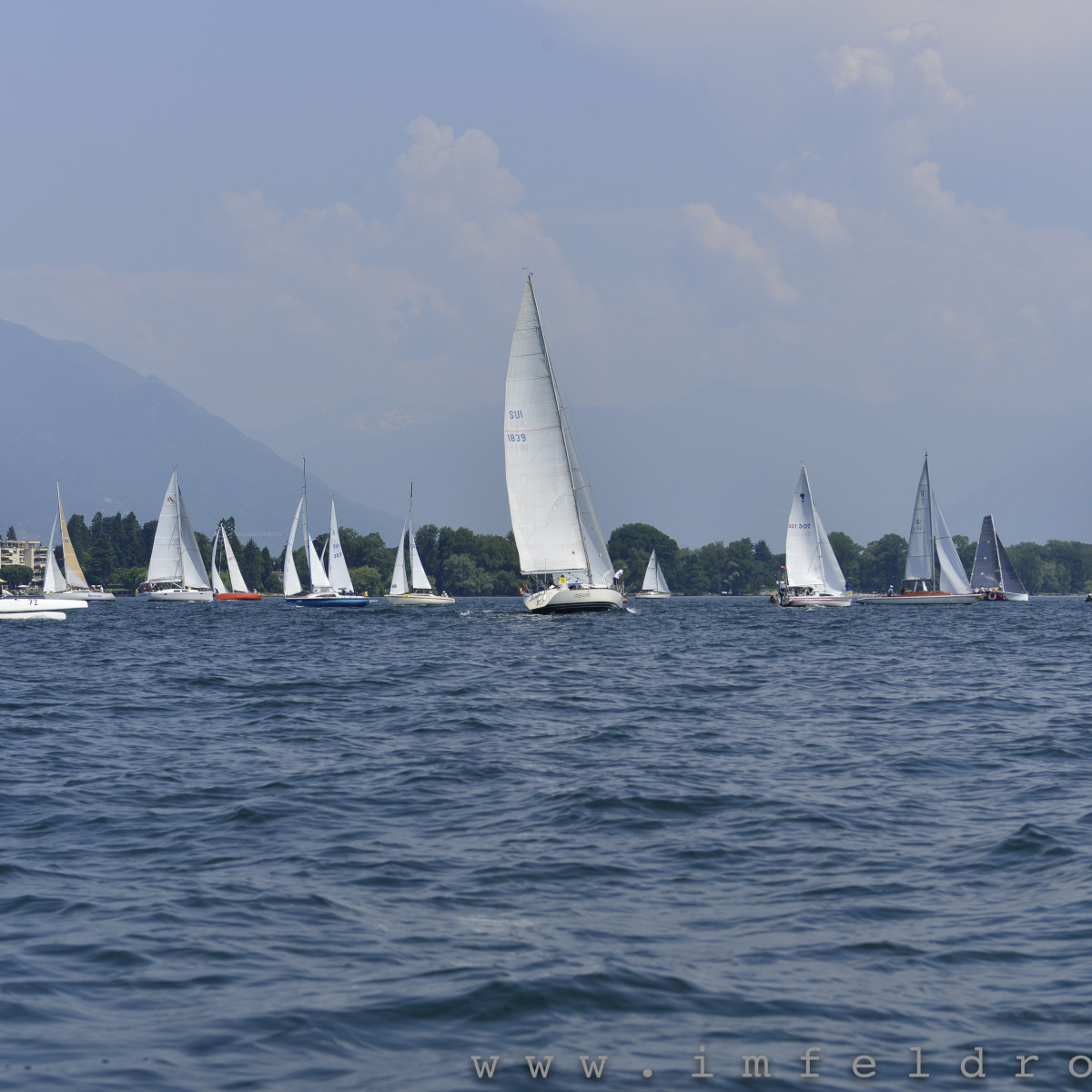 1° 50 miglia lago Maggiore