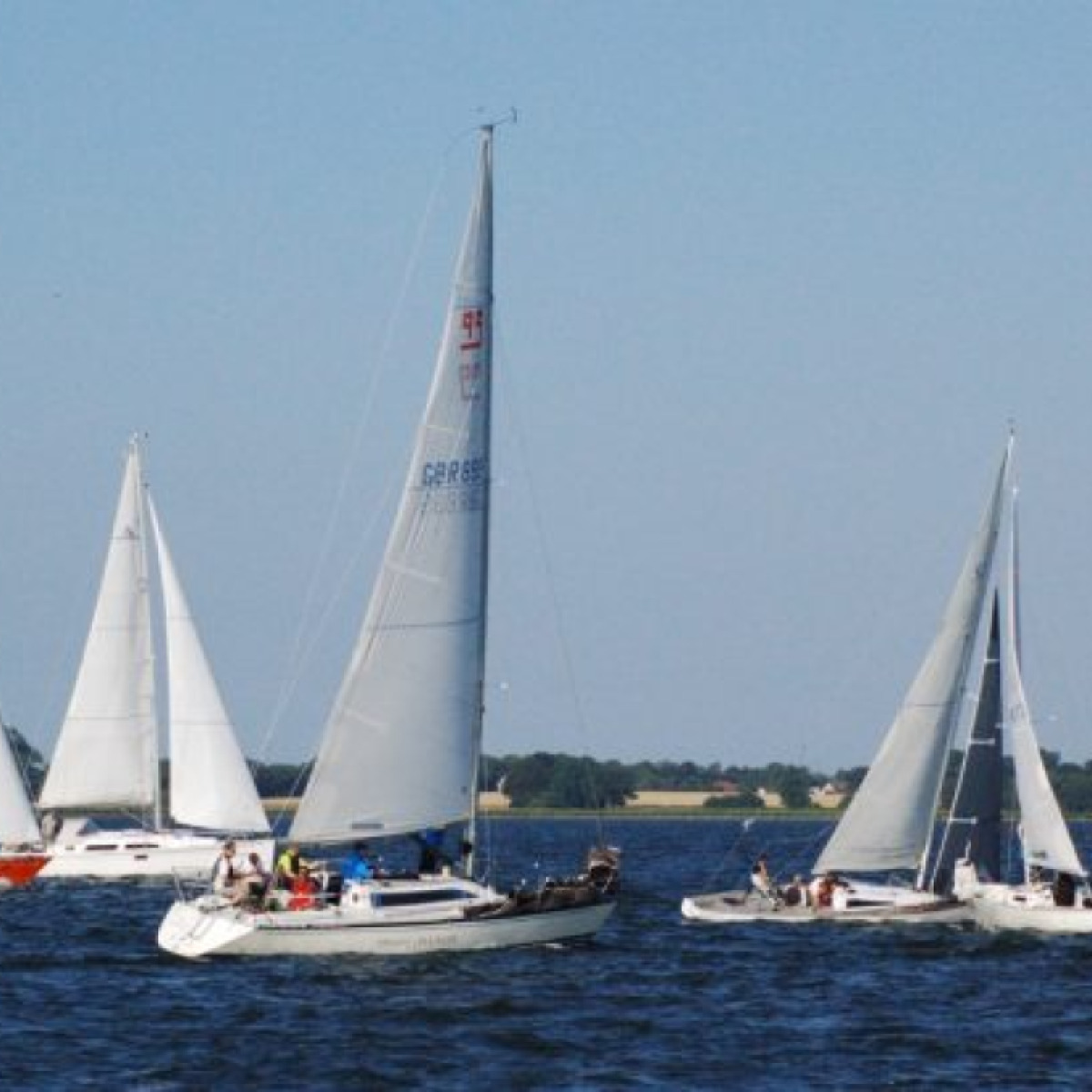 Mittwochsregatta