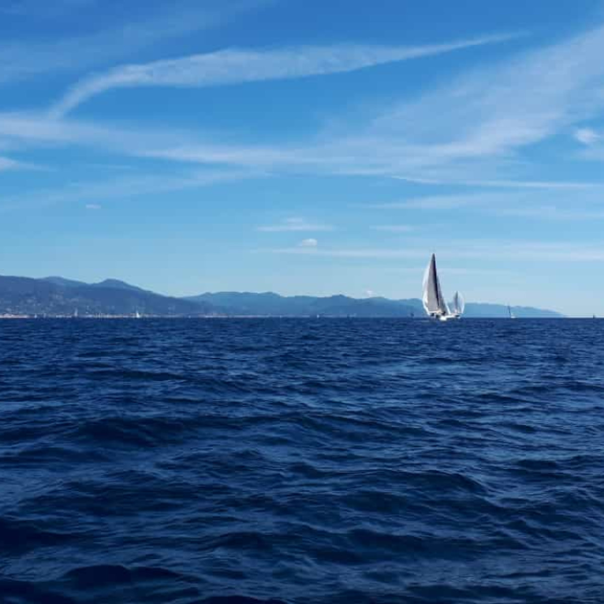 22° Memorial  Romano Caselli Regata sociale YCC
