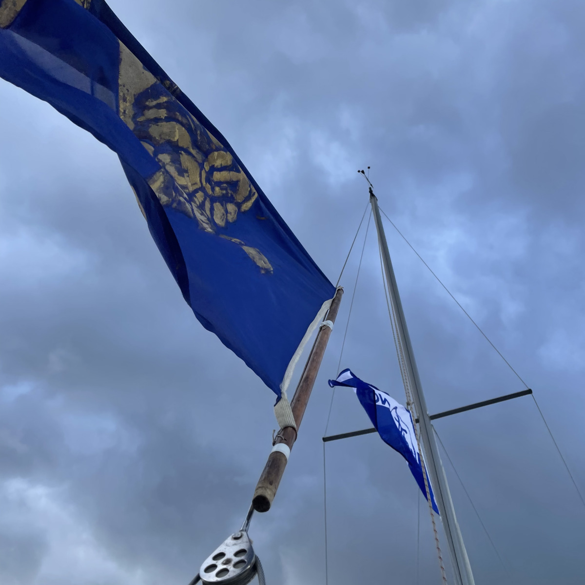 Regatta  NOKI
