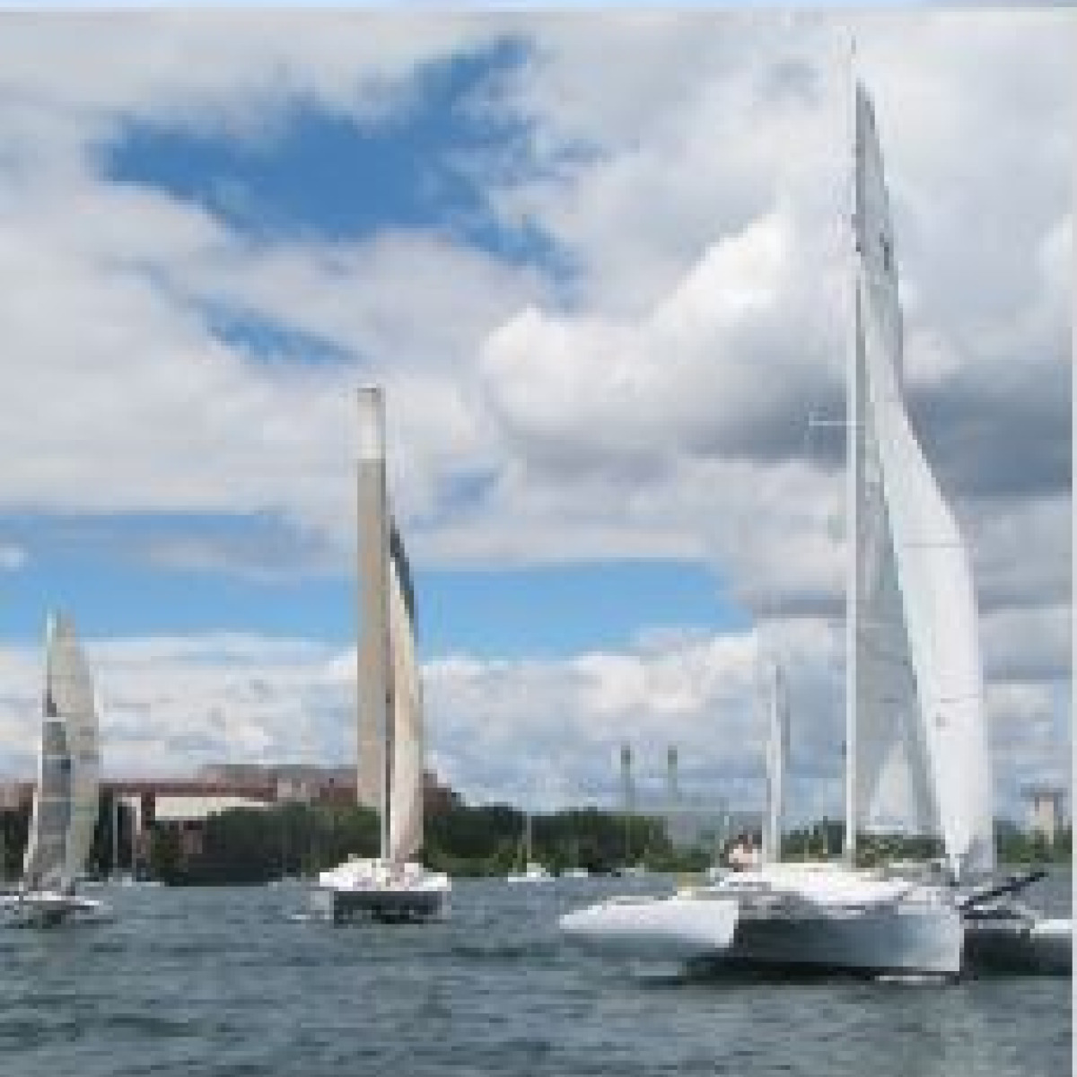 TMCC 51st Regatta