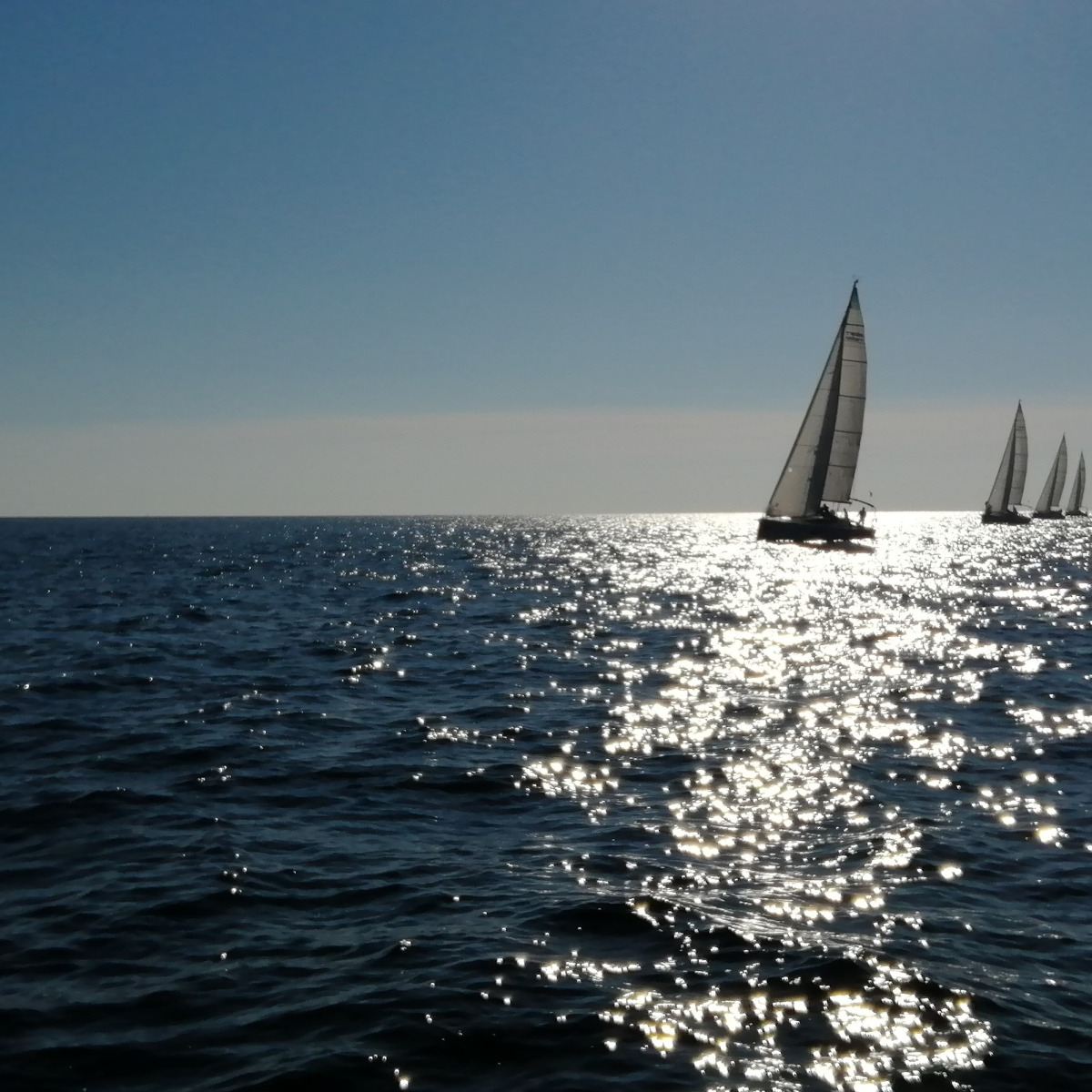 ComAp Ocean Race 2023
