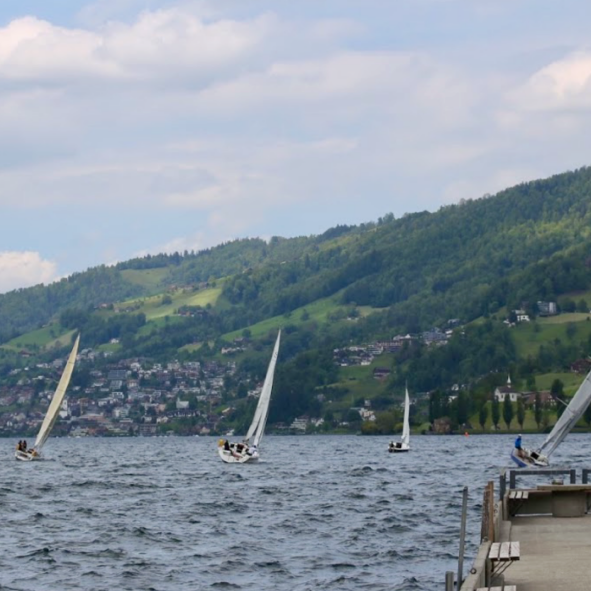 Bisang Cup OSCA Zugersee