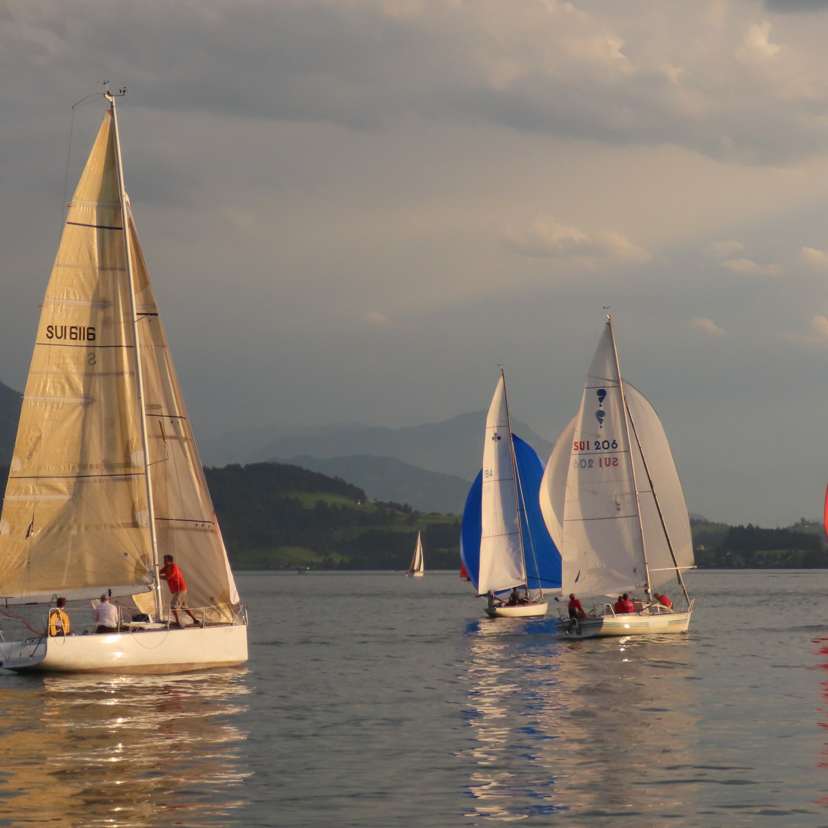 OSCA Sommerregatta