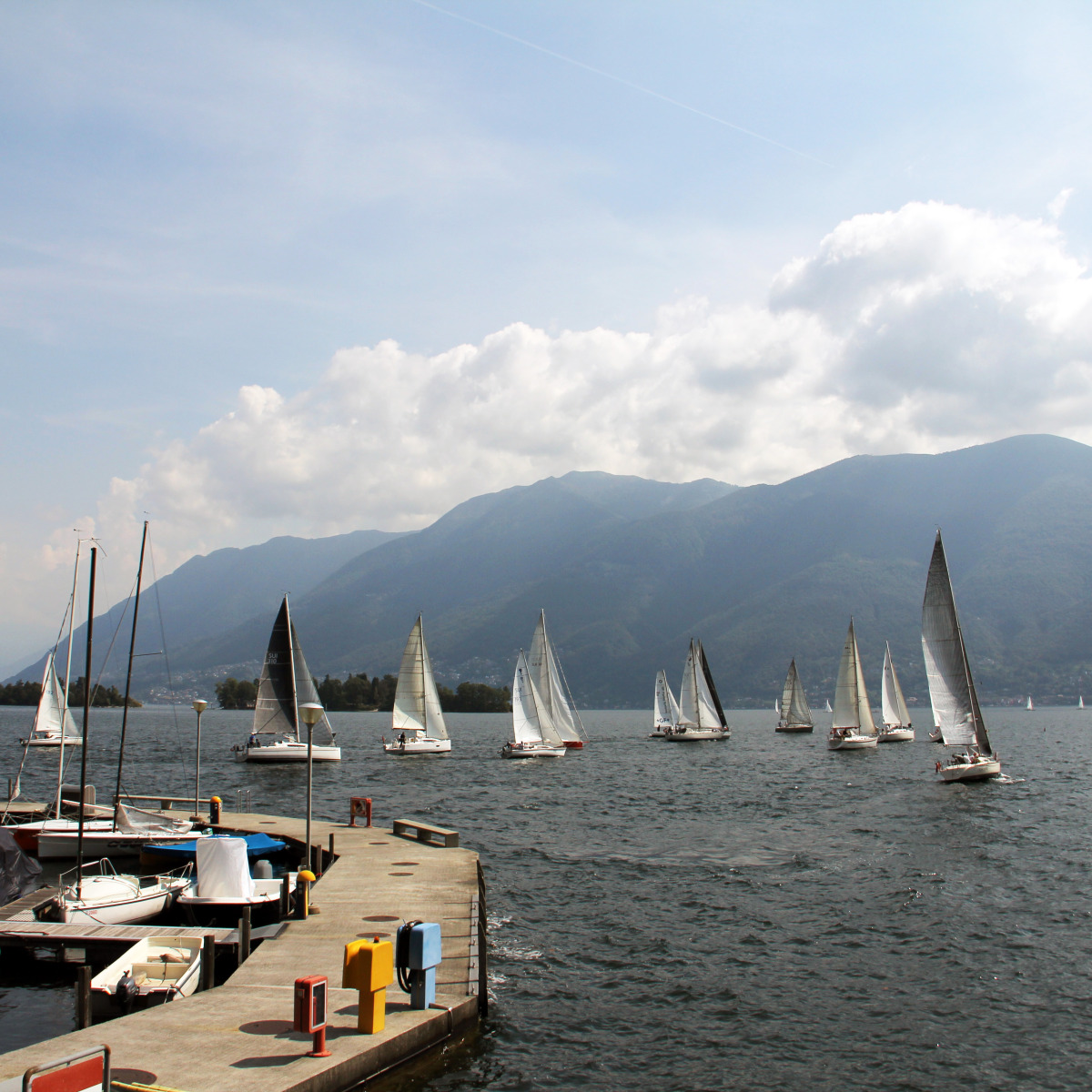 50 miglia lago Maggiore  6a ed.