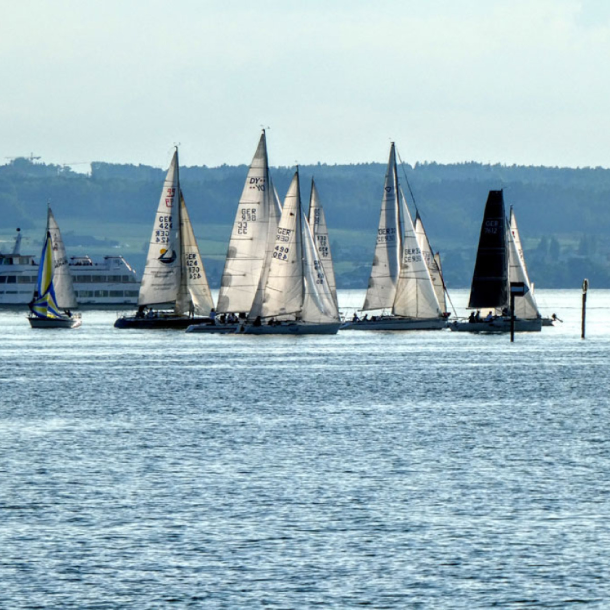 WVF/YCI Mittwochsregatta