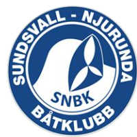 Dygnet Runt 2020