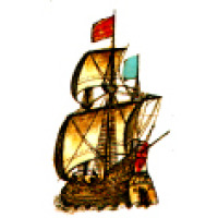 Regata kiwi test