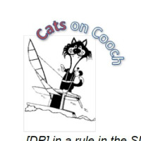 Cats on Cooch 2023